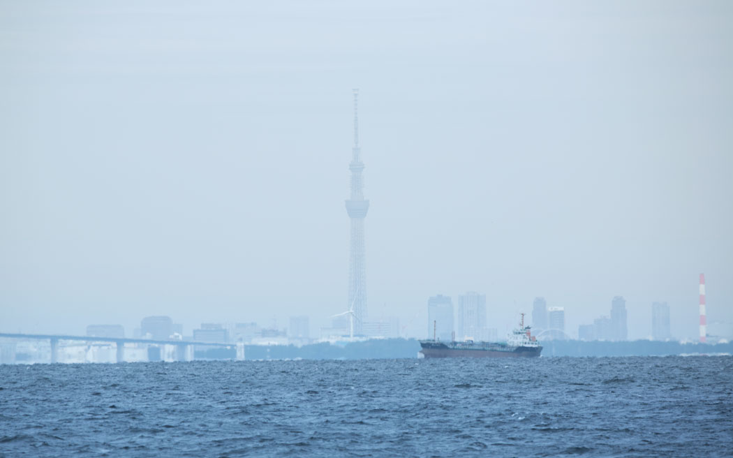 TOKYO SEA